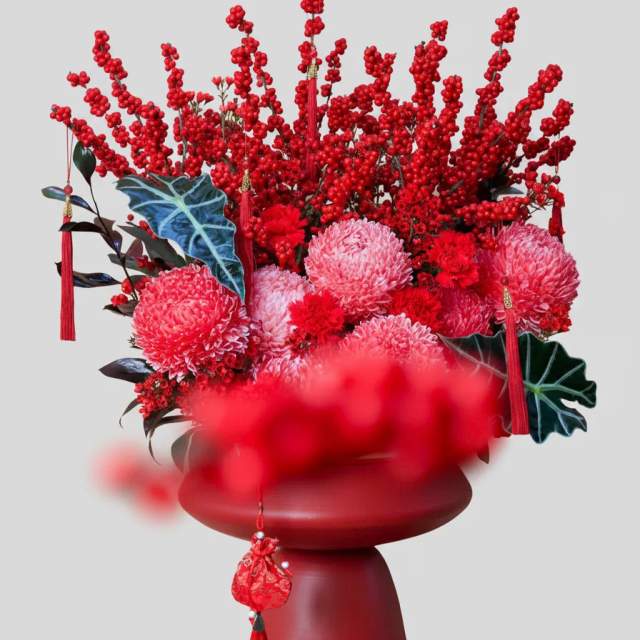 Bình cúc mẫu đơn đỏ Crimson Fortune