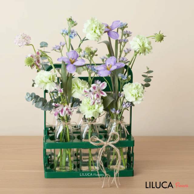 Bình hoa cẩm chướng xanh Rustic Meadow