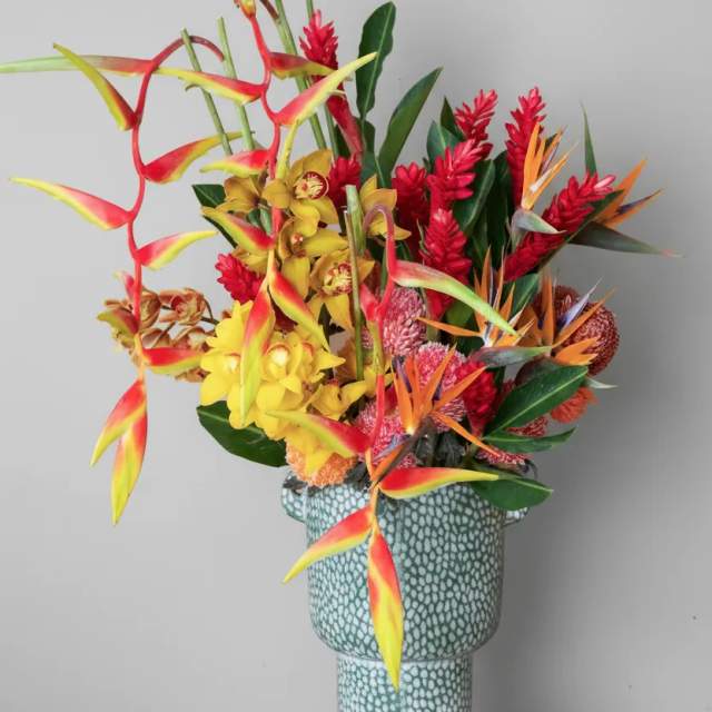 Bình hoa thiên điểu mix lan vàng Tropical Vibe