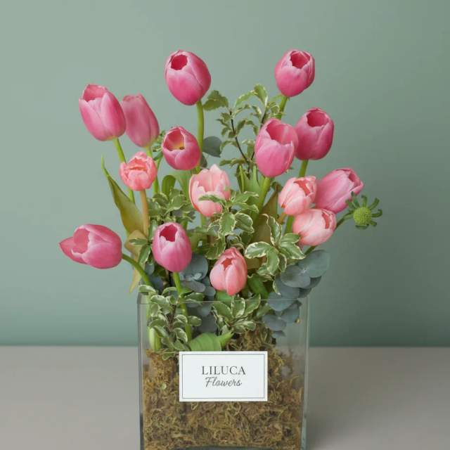 Bình hoa tulip hồng Pink Whisper