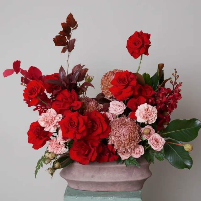 Bình hồng đỏ Crimson Velvet Dream