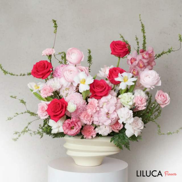 Bình hồng mix mao lương hồng Blushing Symphony