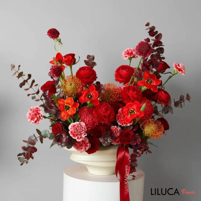 Bình mao lương tulip đỏ Scarlet Symphony