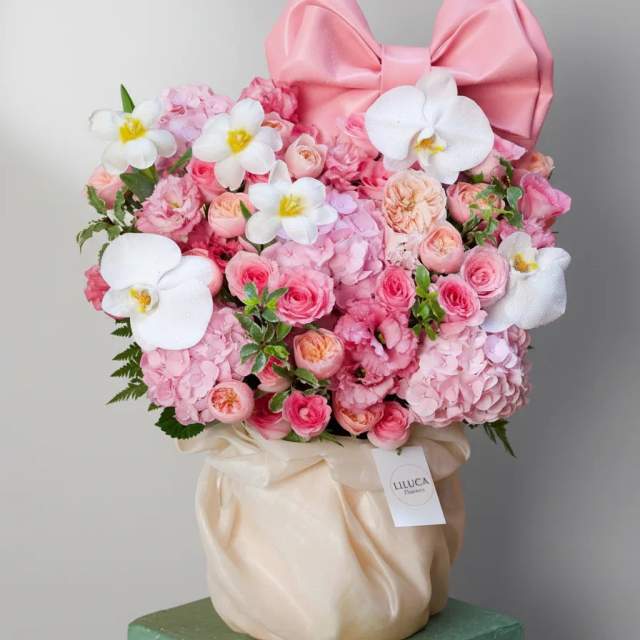 Box cẩm tú cầu Candy 4