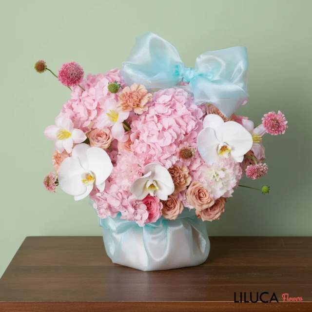 Box cẩm tú cầu Candy hồng version 2
