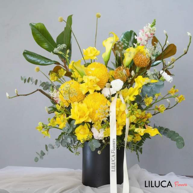 Box hoa cúc mẫu đơn vàng Golden Sunshine