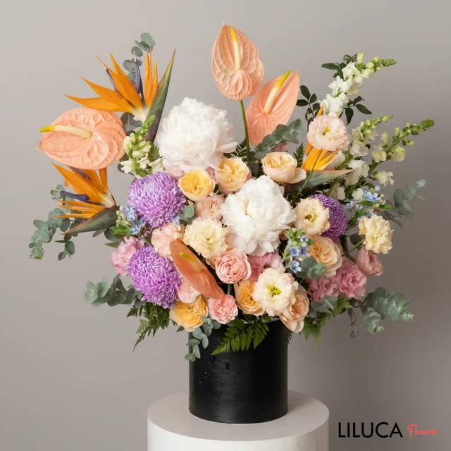 Box hoa mẫu đơn mix thiên điểu cam Sunset Harmony