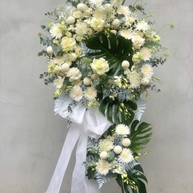 Kệ hồng cúc trắng Eternal Peace