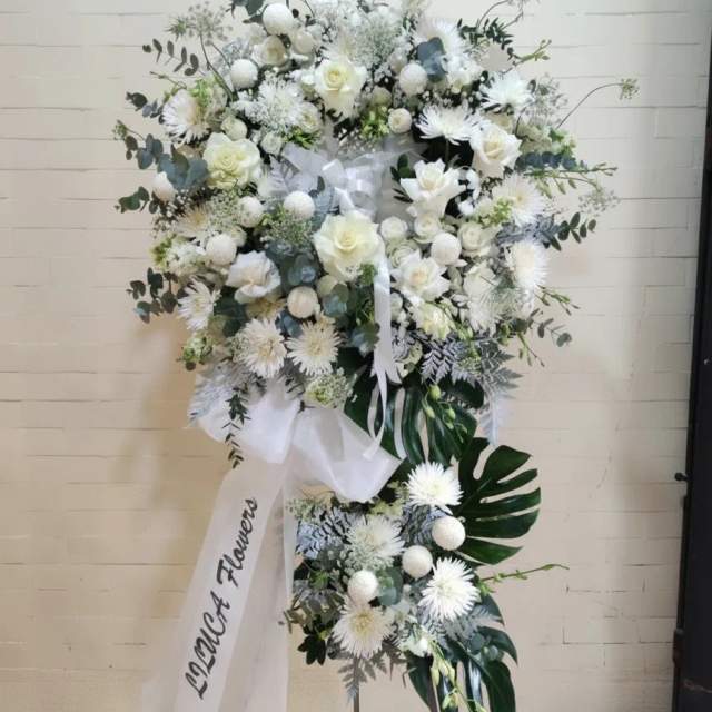 Kệ hồng cúc trắng Eternal Peace
