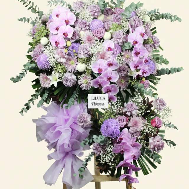 Kệ lan hồ điệp mix cúc tím Purple Eternal Peace