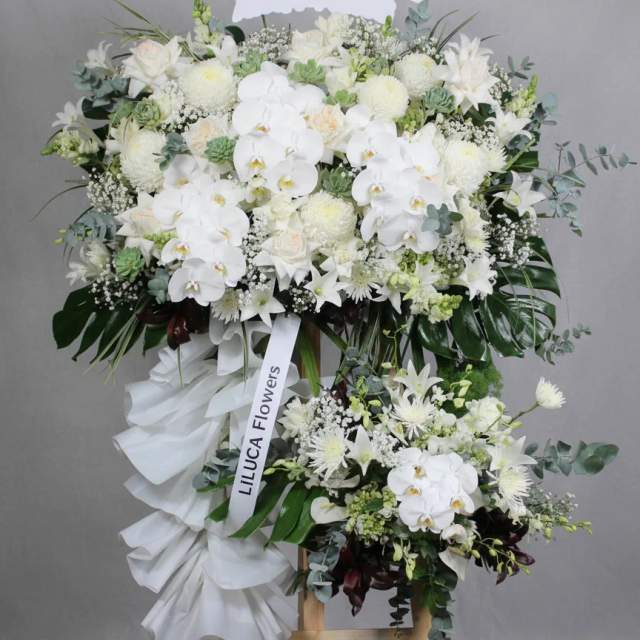 Kệ lan hồ điệp trắng Eternal Peace