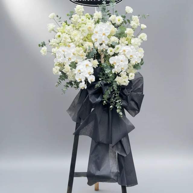 Kệ lan hồ điệp trắng Eternal Peace