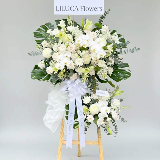 Kệ lan hồ điệp trắng Eternal Peace
