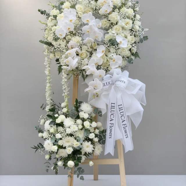 Kệ lan hồ điệp trắng Pure Elegance