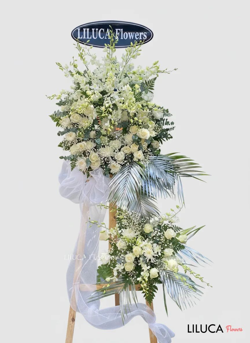 Kệ lan hồng trắng Eternal Peace