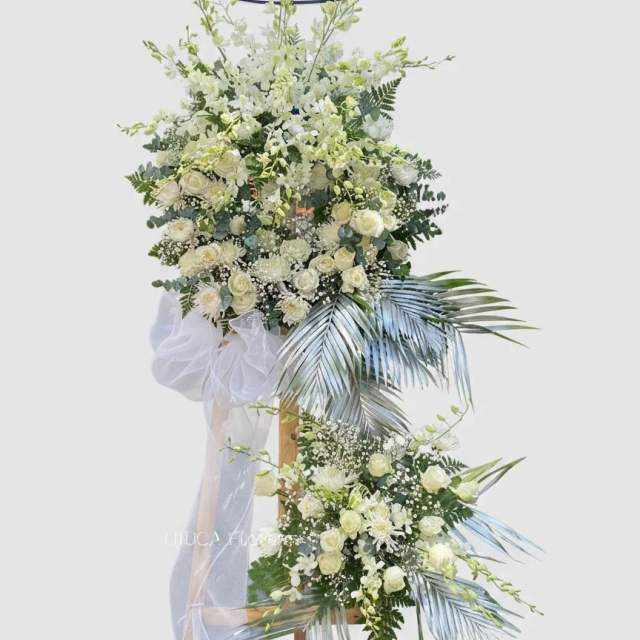 Kệ lan hồng trắng Eternal Peace