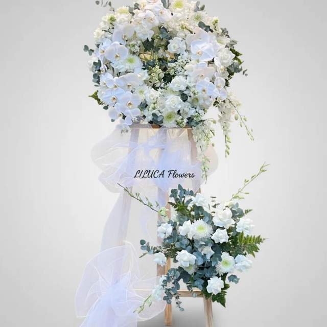 Kệ lan mix hồng trắng Eternal Peace