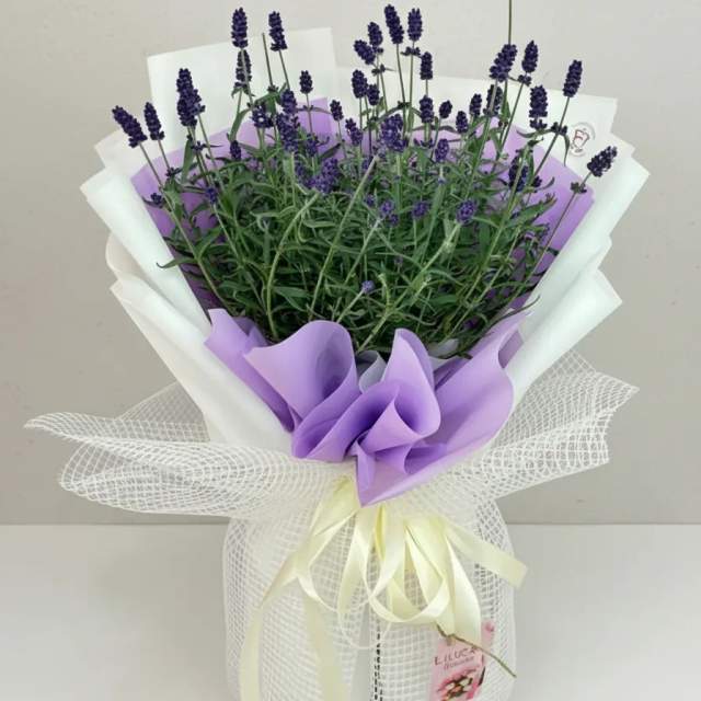 Lavender Sắc Hương