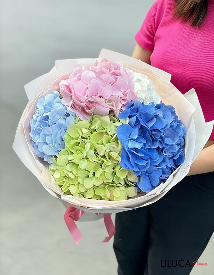 Bầu Trời