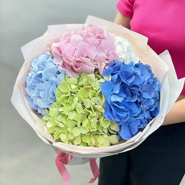 Bầu Trời