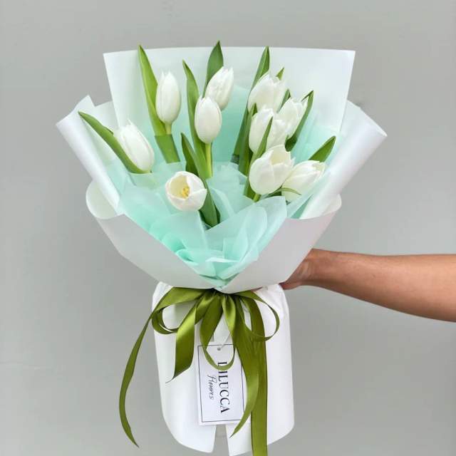 Bó Hoa Tulip - Thiên Thanh