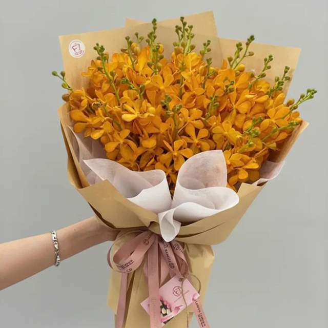 Ánh Nắng Hè