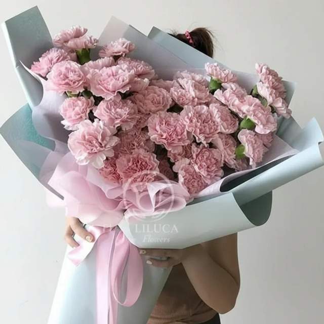 Cẩm Chướng Mong Manh